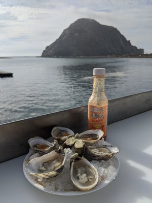 Morro Bay Oyster Company by null