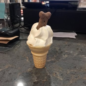 Crossroads Custard & Cold Brew - Pup Cup - Ice Cream & Frozen Yogurt Near Me - Cashiers, North Carolina