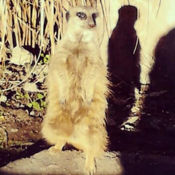 Virginia Zoo - Zoos Near Me - Norfolk, Virginia