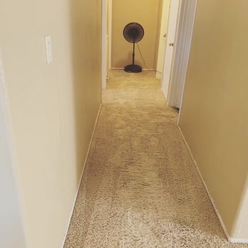 Xtreme Cleaning - An AFTER photo of the hallway - Carpet Cleaning Near Me Xtreme Cleaning - An AFTER photo of the hallway - Carpet Cleaning Near Me