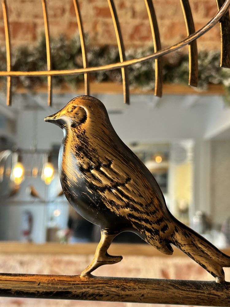 Food from King Canary Brewing