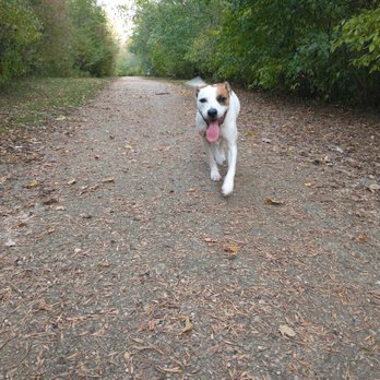 Katherine Kearney Carpenter Park - Dog Parks Near Me - Mequon, Wisconsin Katherine Kearney Carpenter Park - Dog Parks Near Me - Mequon, Wisconsin