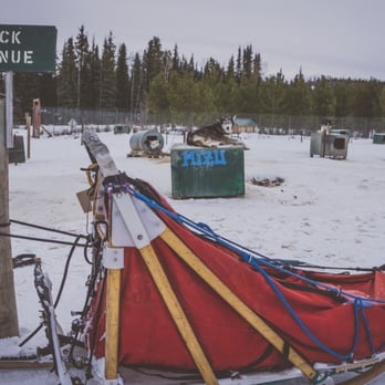 Muktuk Adventures - Yukon 2015 - Hiking Near Me - Whitehorse, Yukon Muktuk Adventures - Yukon 2015 - Hiking Near Me - Whitehorse, Yukon