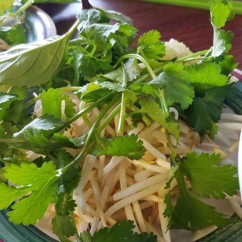 VK Noodle House - Vietnamese Near Me - Ocean Springs, Mississippi VK Noodle House - Vietnamese Near Me - Ocean Springs, Mississippi
