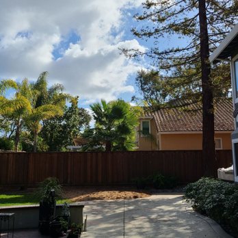 Preferred Expert Tree Service - After - Tree Services Near Me Preferred Expert Tree Service - After - Tree Services Near Me