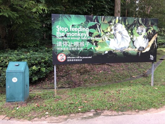 Bukit Batok Nature Park by null