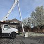 Photo of Supreme Tree Service
