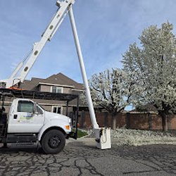 Supreme Tree Service