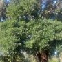 Photo of Find Dog Park