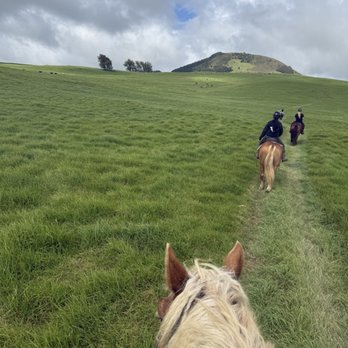 Paniolo Adventures - A look at the trail on the ride - Horseback Riding Near Me Paniolo Adventures - A look at the trail on the ride - Horseback Riding Near Me