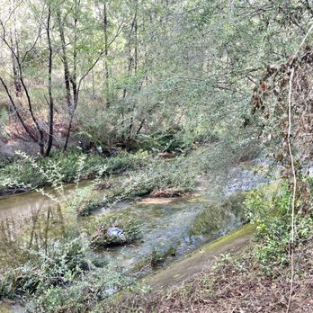 Skyland Park - Creek Behind Park - Parks Near Me - Mobile, Alabama Skyland Park - Creek Behind Park - Parks Near Me - Mobile, Alabama