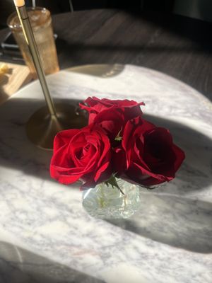 Stafford House Provisions by null