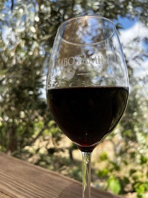Palumbo Family Vineyard by null