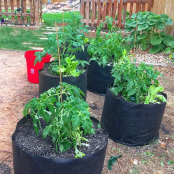 Urban Garden - Got all of this from here. - Nurseries & Gardening Near Me - Louisville, Colorado