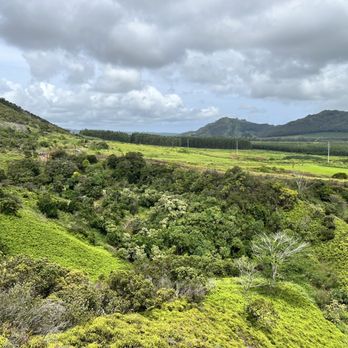 Shaka Zipline - Ziplining Near Me - Koloa, Hawaii Shaka Zipline - Ziplining Near Me - Koloa, Hawaii