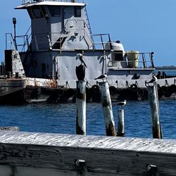 Bimini Big John's