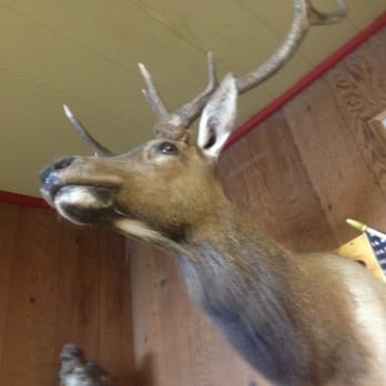 June Lake General Store - Grocery Near Me - June Lake, California June Lake General Store - Grocery Near Me - June Lake, California