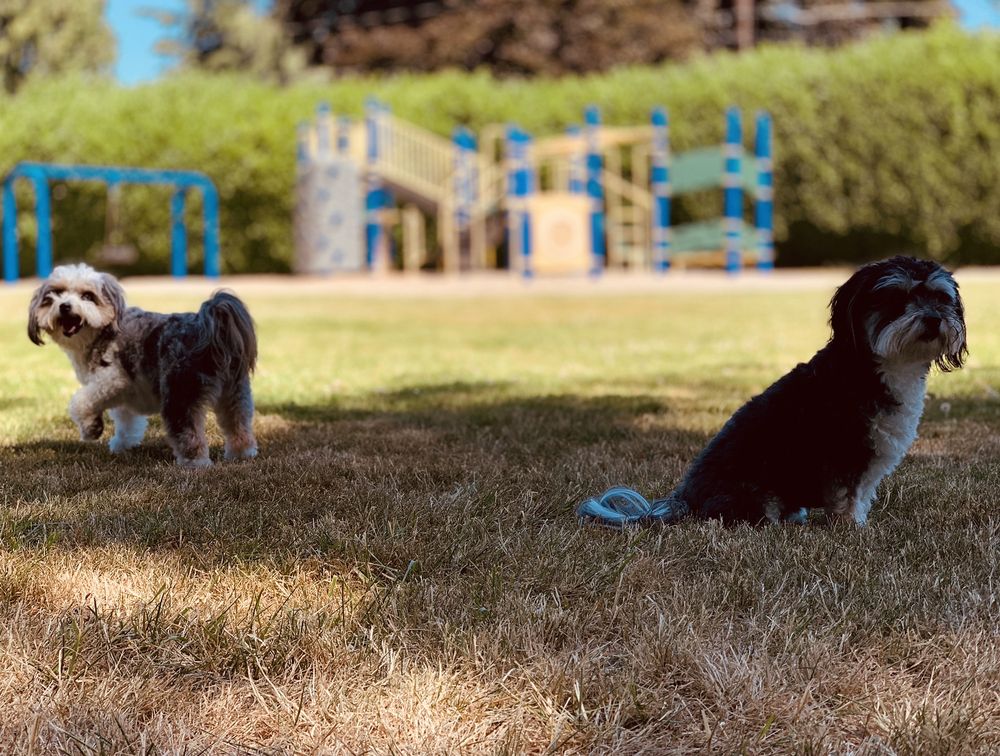 RIDGEWOOD PARK Updated June 2024 96TH And Pkwy, West Slope, Oregon