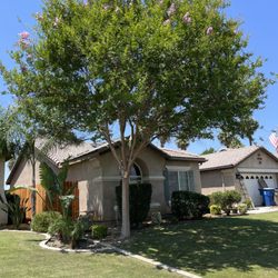 Jay's Tree Trimmming and Removal