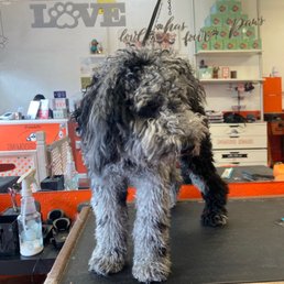 Before haircut Before haircut