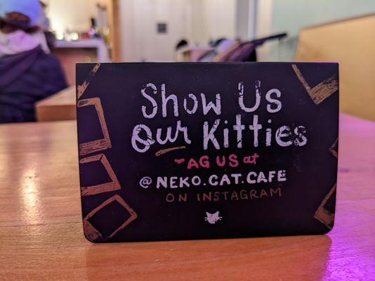 NEKO Cat Cafe Seattle by null