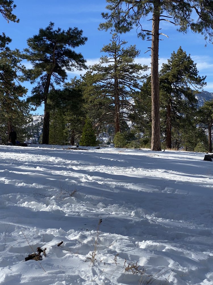 TABLE MOUNTAIN CAMPGROUND 105 Photos & 77 Reviews 22223 Big Pines