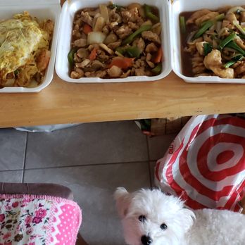 Bamboo Garden - Shrimp w/ egg, kungpao chicken, fish fillet w ginger / green onion on the right. And Coco being curious about the yummy food - Chinese Near Me - Alhambra, California