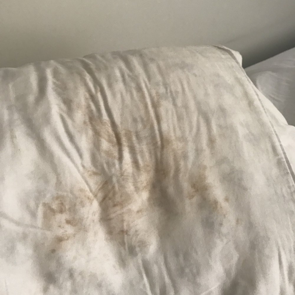 Muze Salon - My hair was not even washed properly - Hair Salons Near Me - New York, New York Muze Salon - My hair was not even washed properly - Hair Salons Near Me - New York, New York