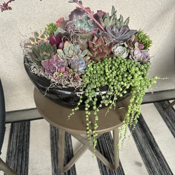 ASucca4U - Florists Near Me - Menifee, California ASucca4U - Florists Near Me - Menifee, California