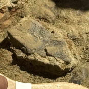 Paleo Adventures - Tours Near Me - Belle Fourche, South Dakota