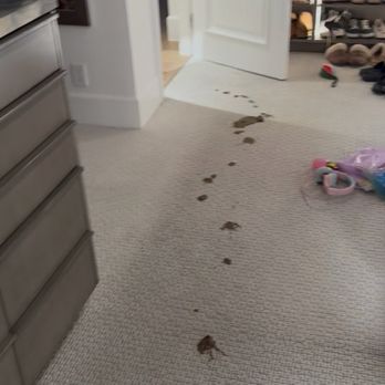 Valley Carpet Cleaning - The poo shot, this is only half of it! - Carpet Cleaning Near Me - Chatsworth, California Valley Carpet Cleaning - The poo shot, this is only half of it! - Carpet Cleaning Near Me - Chatsworth, California