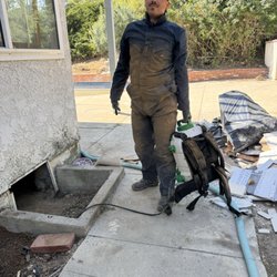Spearhead Pest Control