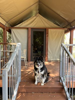 The Camp at Carmel Valley by null