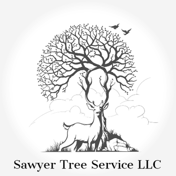 Sawyer Tree Service - Tree Services Near Me Sawyer Tree Service - Tree Services Near Me