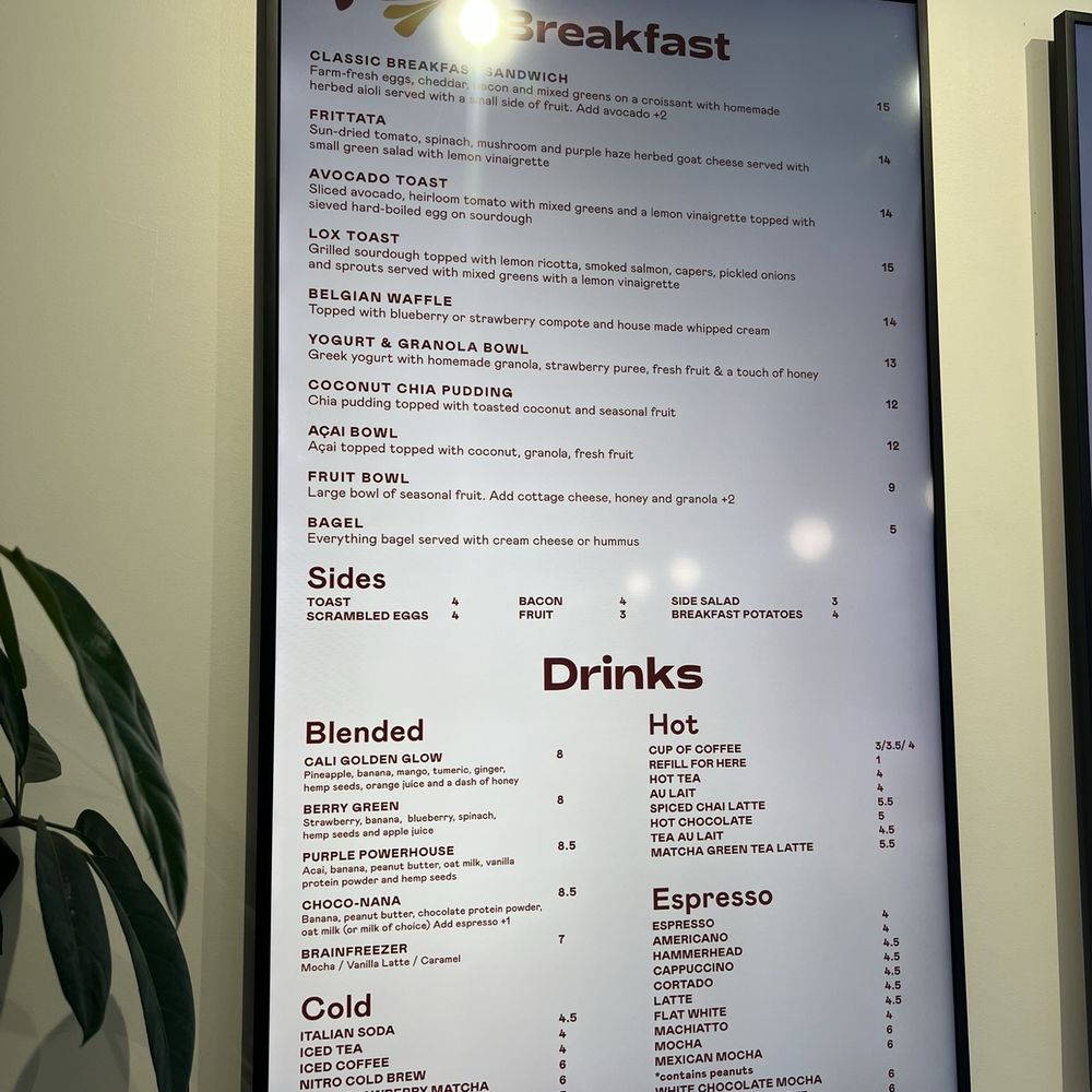 Daffodil Cafe - Breakfast and drink menu - Cafes Near Me - San Diego, California Daffodil Cafe - Breakfast and drink menu - Cafes Near Me - San Diego, California