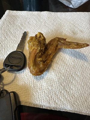 Lucky Dragon by null