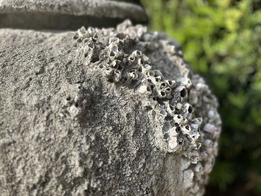 Hotel ZaZa Houston Memorial City by null Hotel ZaZa Houston Memorial City by null