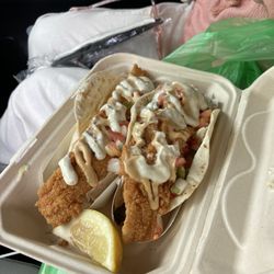 Haddock tacos