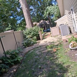 Alvarado Tree Services