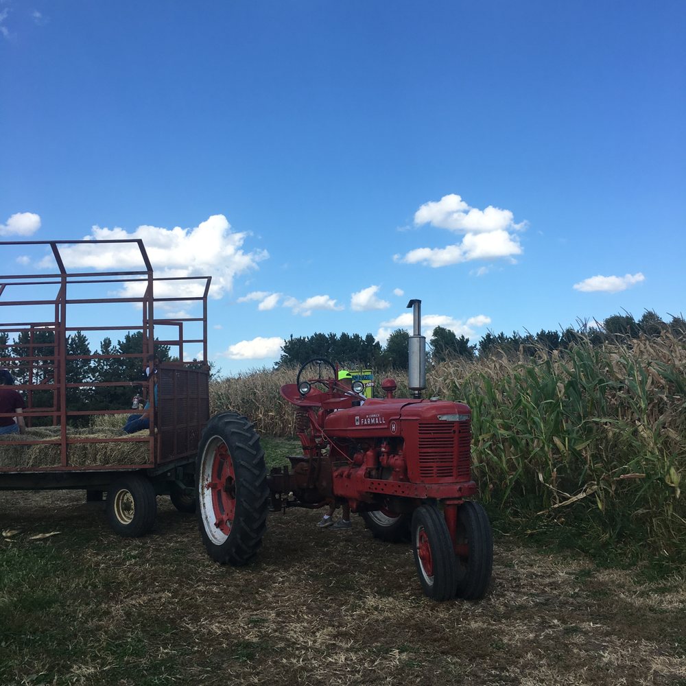 Luceline Orchard - The hayride takes you to the corn maze (included). - CSA Near Me - Watertown, Minnesota