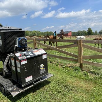Ripley Stump Grinding - Tree Services Near Me - Chagrin Falls, Ohio Ripley Stump Grinding - Tree Services Near Me - Chagrin Falls, Ohio