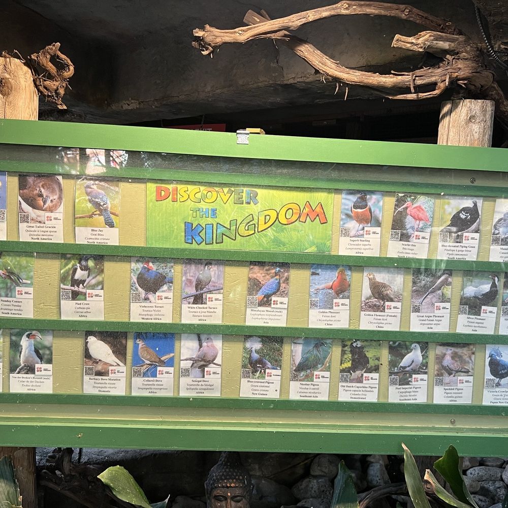 Bird Kingdom - Names of the different birds they have - Zoos Near Me - Niagara Falls, Ontario Bird Kingdom - Names of the different birds they have - Zoos Near Me - Niagara Falls, Ontario