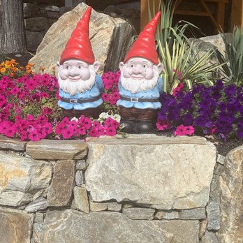 The Vibrant Vine - Wineries Near Me - Kelowna, British Columbia