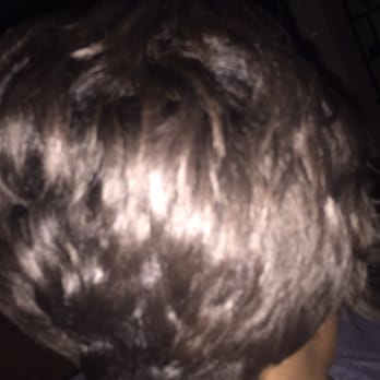 Shelia Marie Studio Salon - Back - Hair Salons Near Me - Austin, Texas