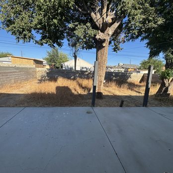 Jose Gonzalez Landscape - Rear Yard Before - Landscape Architects or Designers Near Me - Littlerock, California Jose Gonzalez Landscape - Rear Yard Before - Landscape Architects or Designers Near Me - Littlerock, California