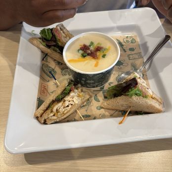 McAlister's Deli - Whole sandwich with soup - Salad Near Me - Tallahassee, Florida McAlister's Deli - Whole sandwich with soup - Salad Near Me - Tallahassee, Florida