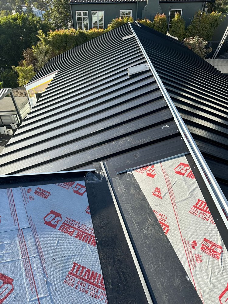 Slide of DLS Development