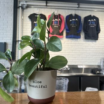 Apex Nutrition - Cute plant vibes and gear to buy. - Health Markets Near Me - Middleton, Wisconsin Apex Nutrition - Cute plant vibes and gear to buy. - Health Markets Near Me - Middleton, Wisconsin