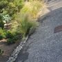 Osvaldos Landscaping
