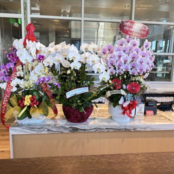 Brodard - Gifts - Vietnamese Near Me - Long Beach, California Brodard - Gifts - Vietnamese Near Me - Long Beach, California